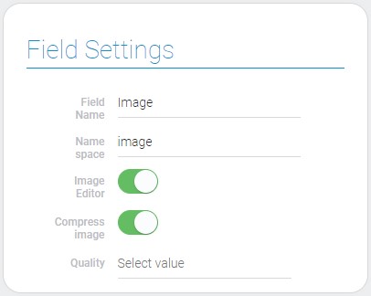 Field settings of the image element