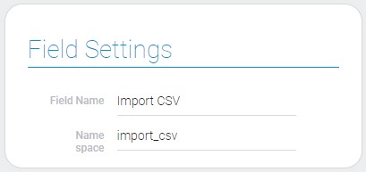 Settings of import CSV field