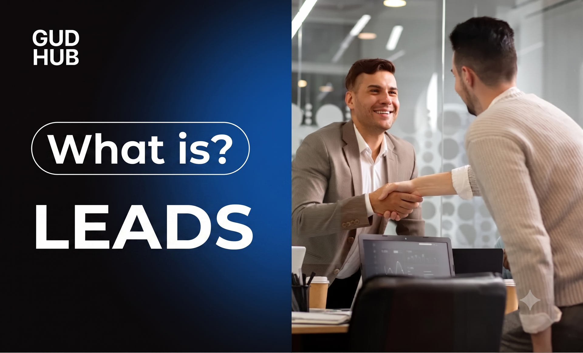 What are Leads, classification, types, stages of work